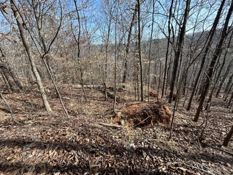 0 Julian Ridge Road Chattanooga TN 37421