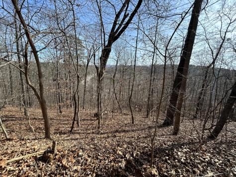 0 Julian Ridge Road Chattanooga TN 37421