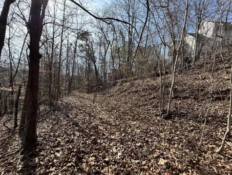 0 Julian Ridge Road Chattanooga TN 37421