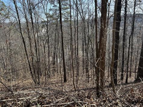 0 Julian Ridge Road Chattanooga TN 37421