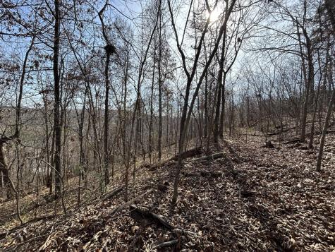 0 Julian Ridge Road Chattanooga TN 37421