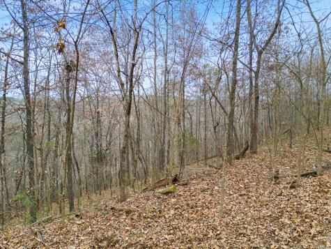 0 Julian Ridge Road Chattanooga TN 37421