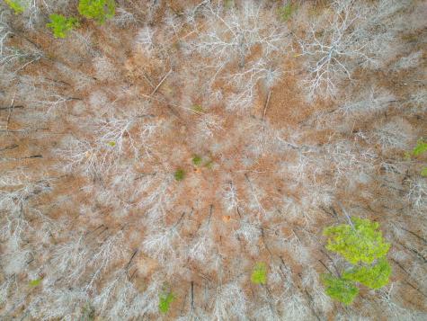 0 Julian Ridge Road Chattanooga TN 37421