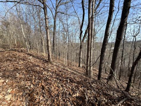 0 Julian Ridge Road Chattanooga TN 37421