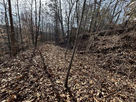 0 Julian Ridge Road Chattanooga TN 37421