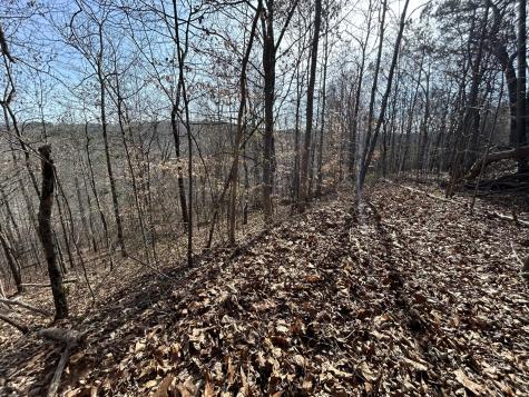 0 Julian Ridge Road Chattanooga TN 37421