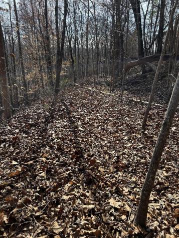 0 Julian Ridge Road Chattanooga TN 37421