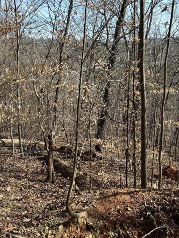 0 Julian Ridge Road Chattanooga TN 37421