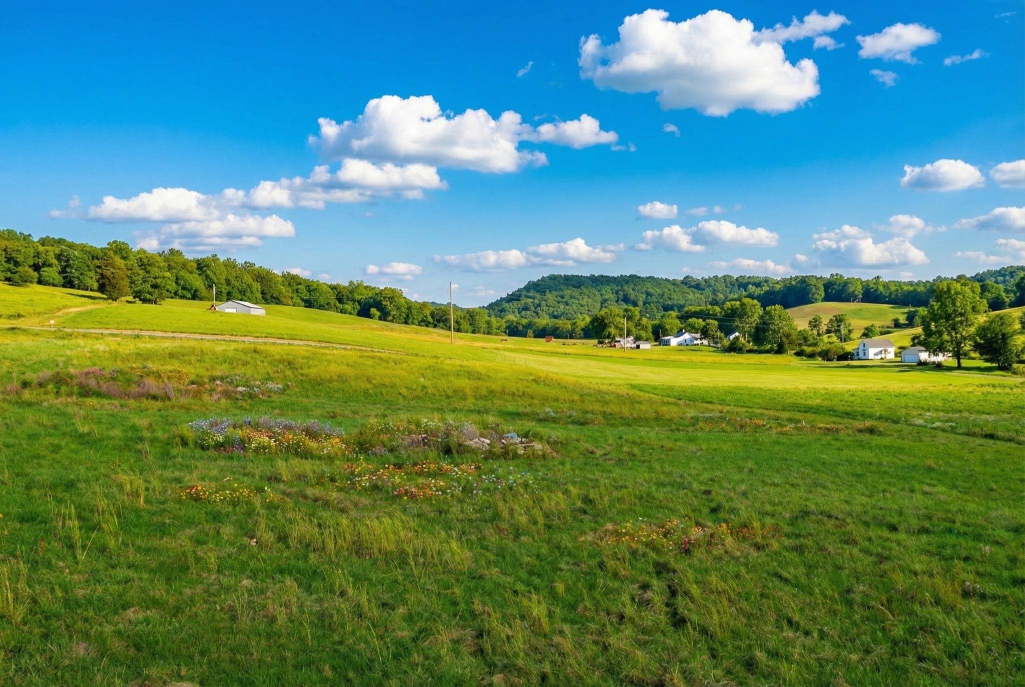 0 Thompson Creek Road Shelbyville TN 37160