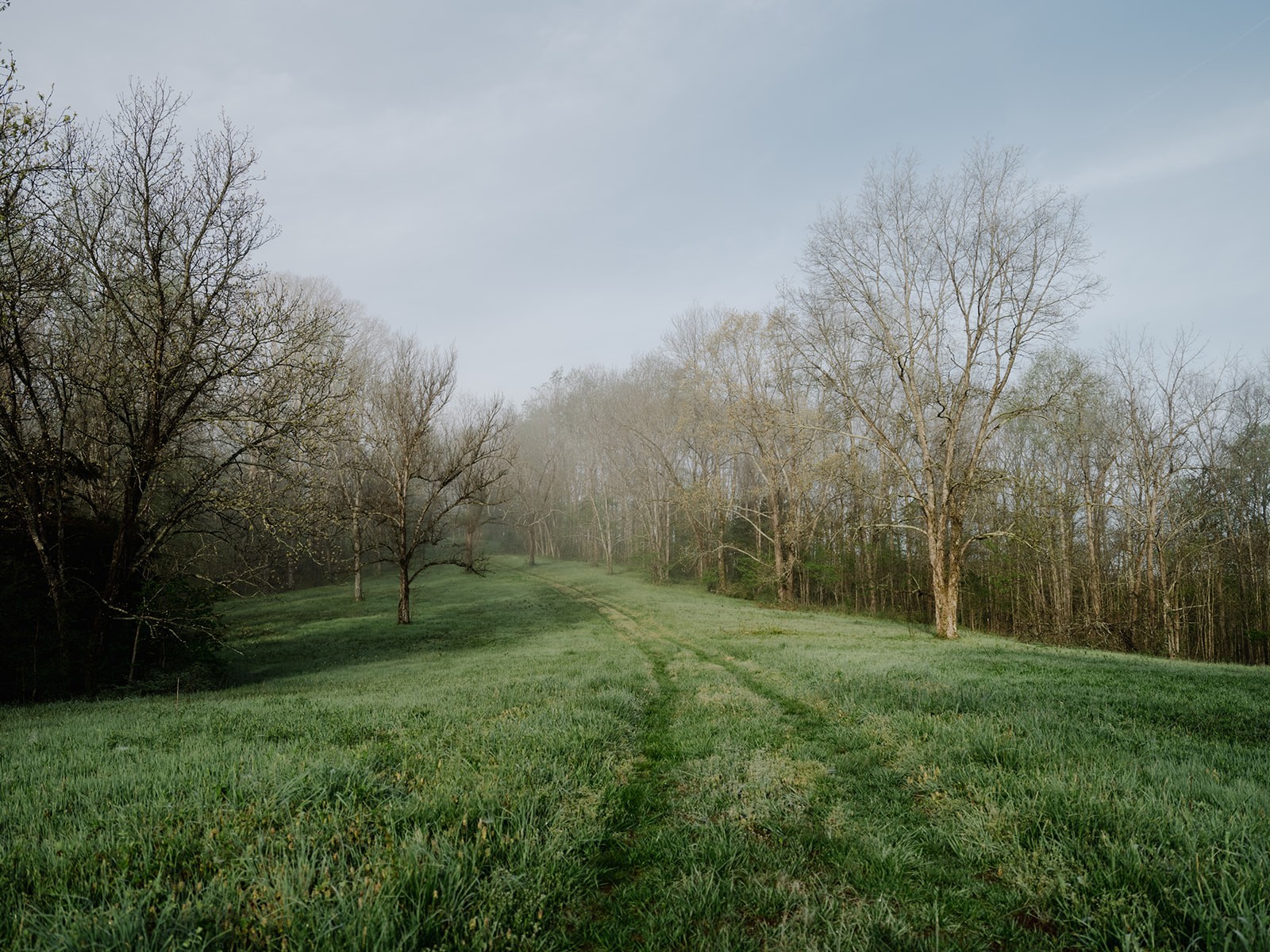 846 R Wilkerson Drive Centerville TN 37033
