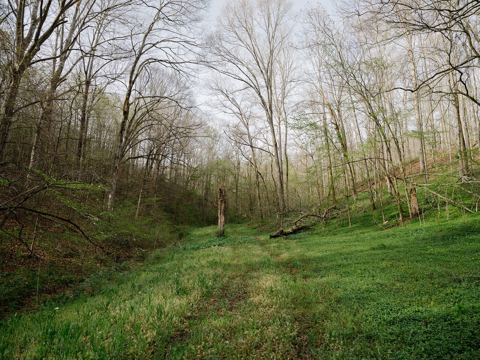 846 R Wilkerson Drive Centerville TN 37033