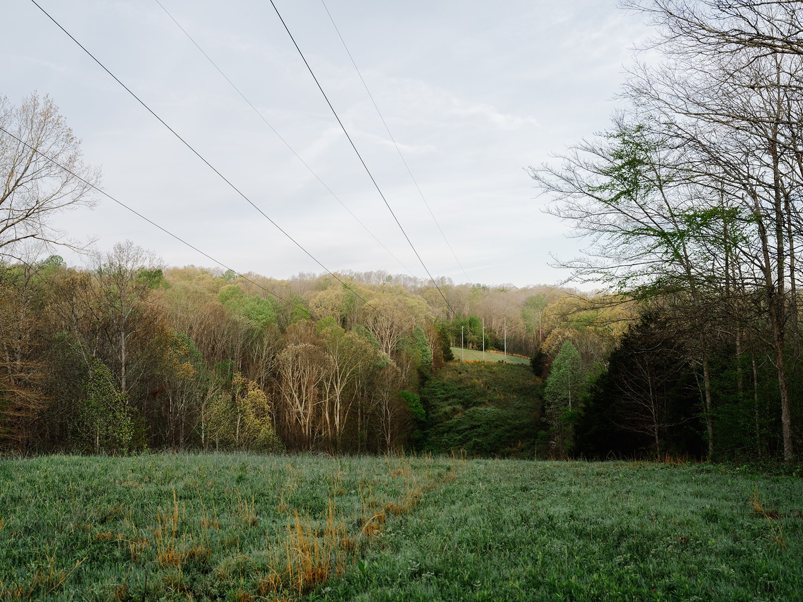 846 R Wilkerson Drive Centerville TN 37033