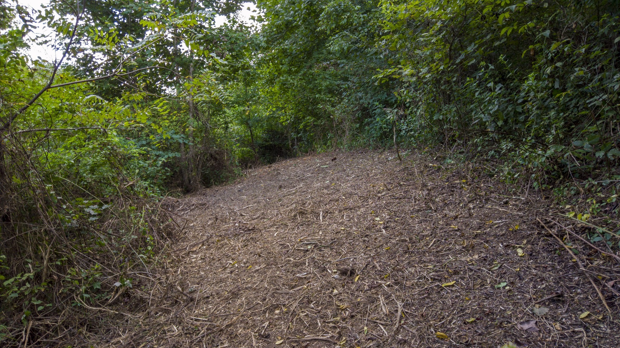 0 Badger Lane Carthage TN 37030
