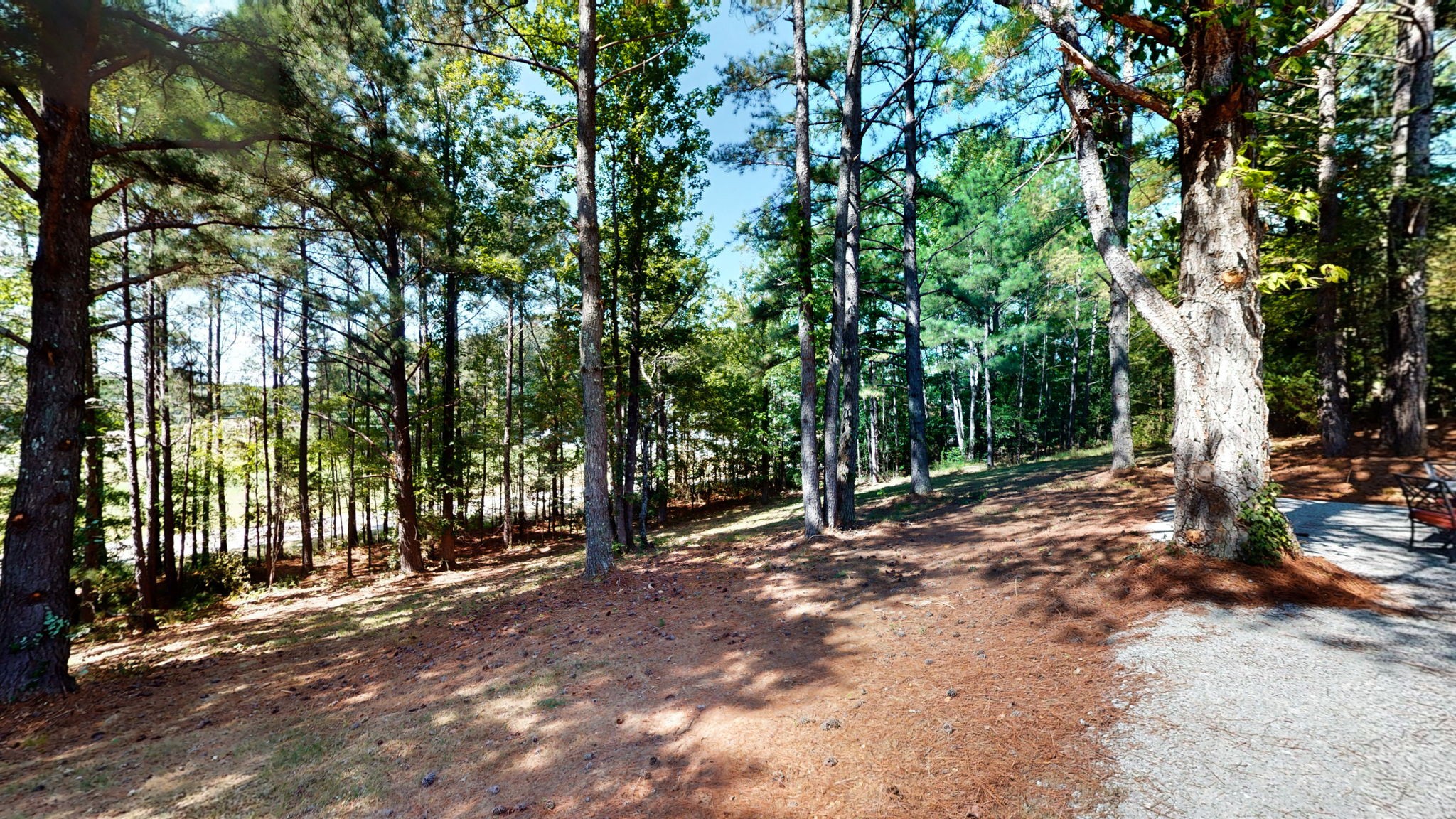 29 Beech Lane Buchanan TN 38222