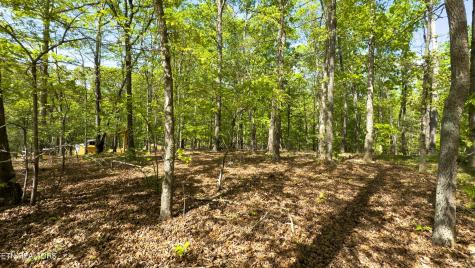 2085 Old Dogwood Trail Loudon TN 37774