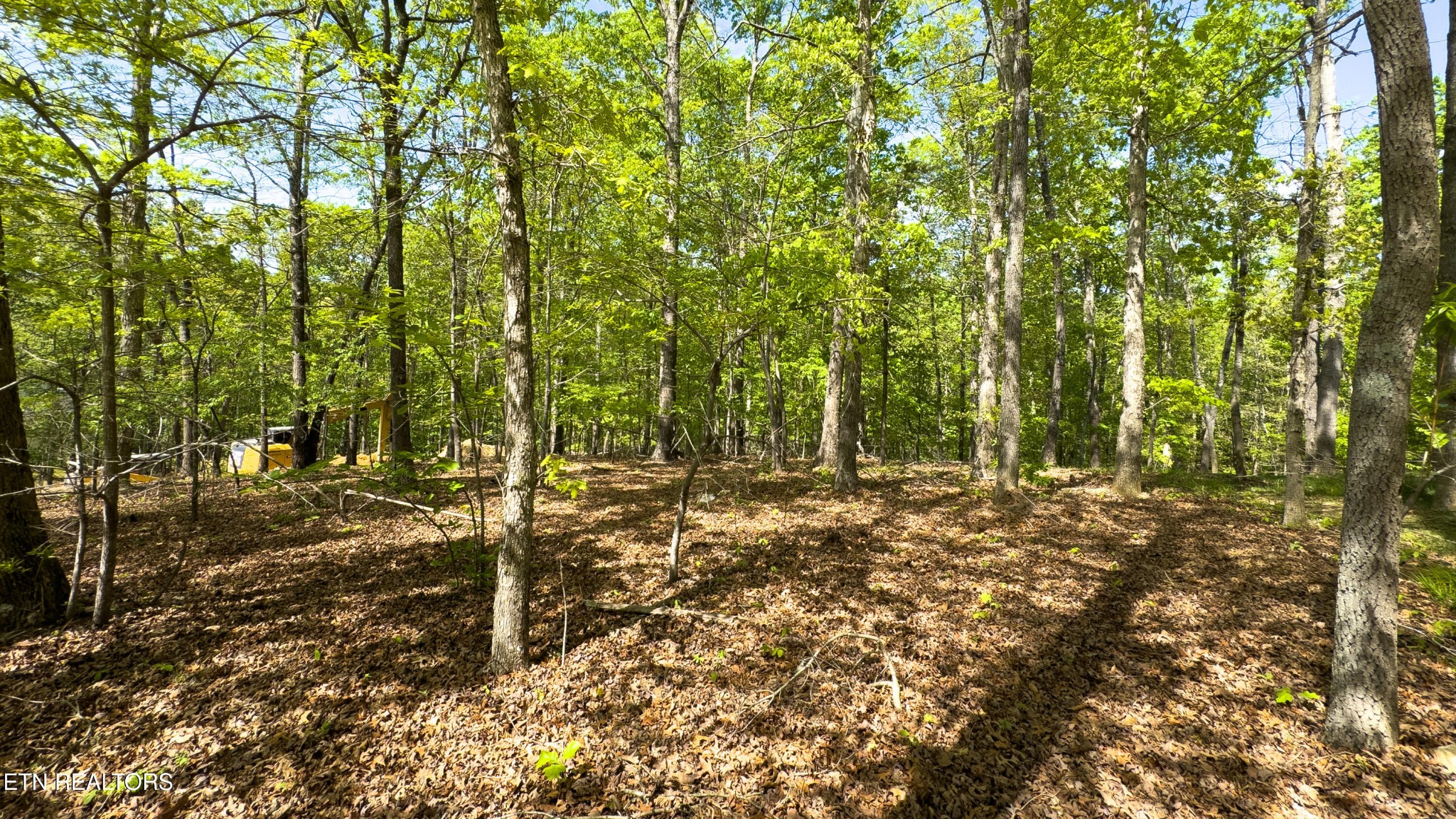 2085 Old Dogwood Trail Loudon TN 37774