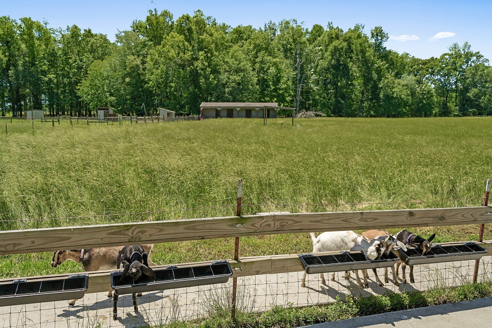 285 Harmony Lane Smithville TN 37166