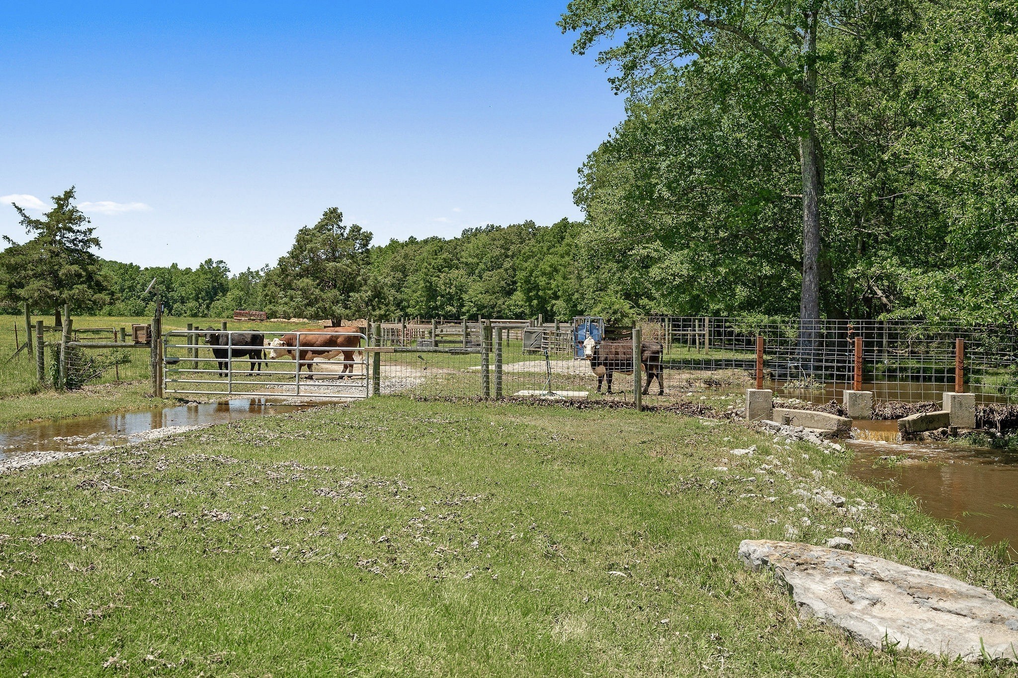 285 Harmony Lane Smithville TN 37166