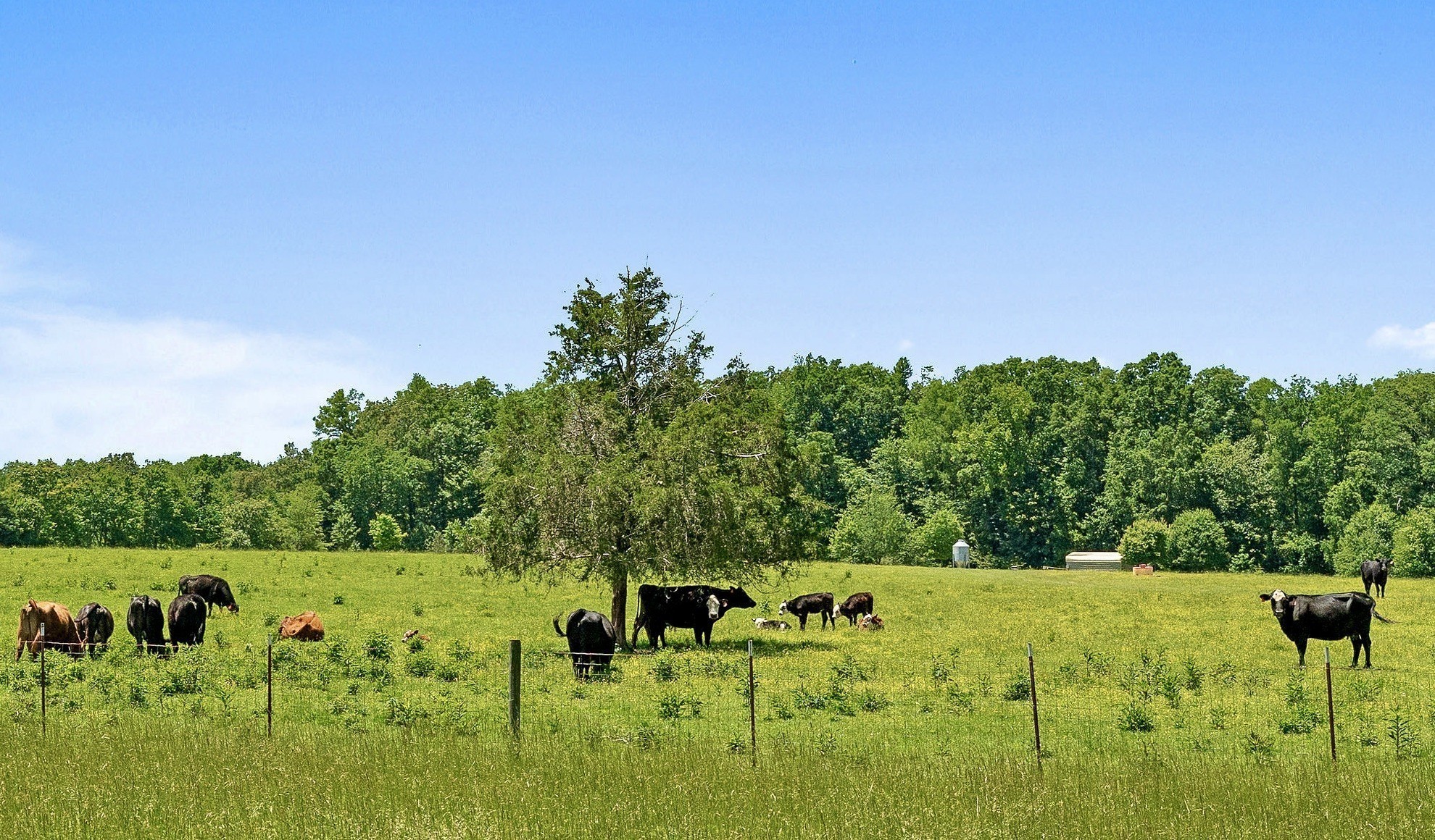 285 Harmony Lane Smithville TN 37166