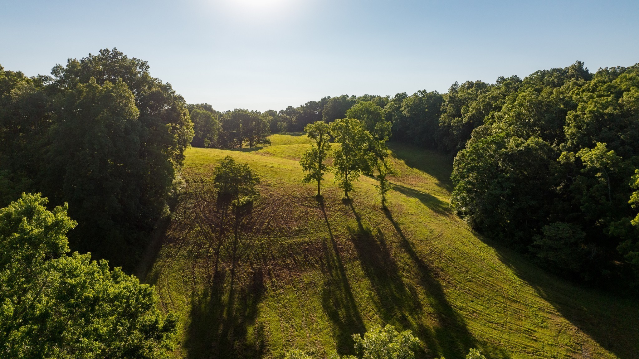 1462 Highway 48, S Dickson TN 37055