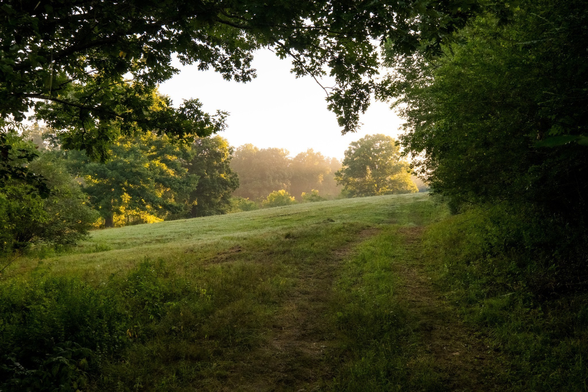 1462 Highway 48, S Dickson TN 37055