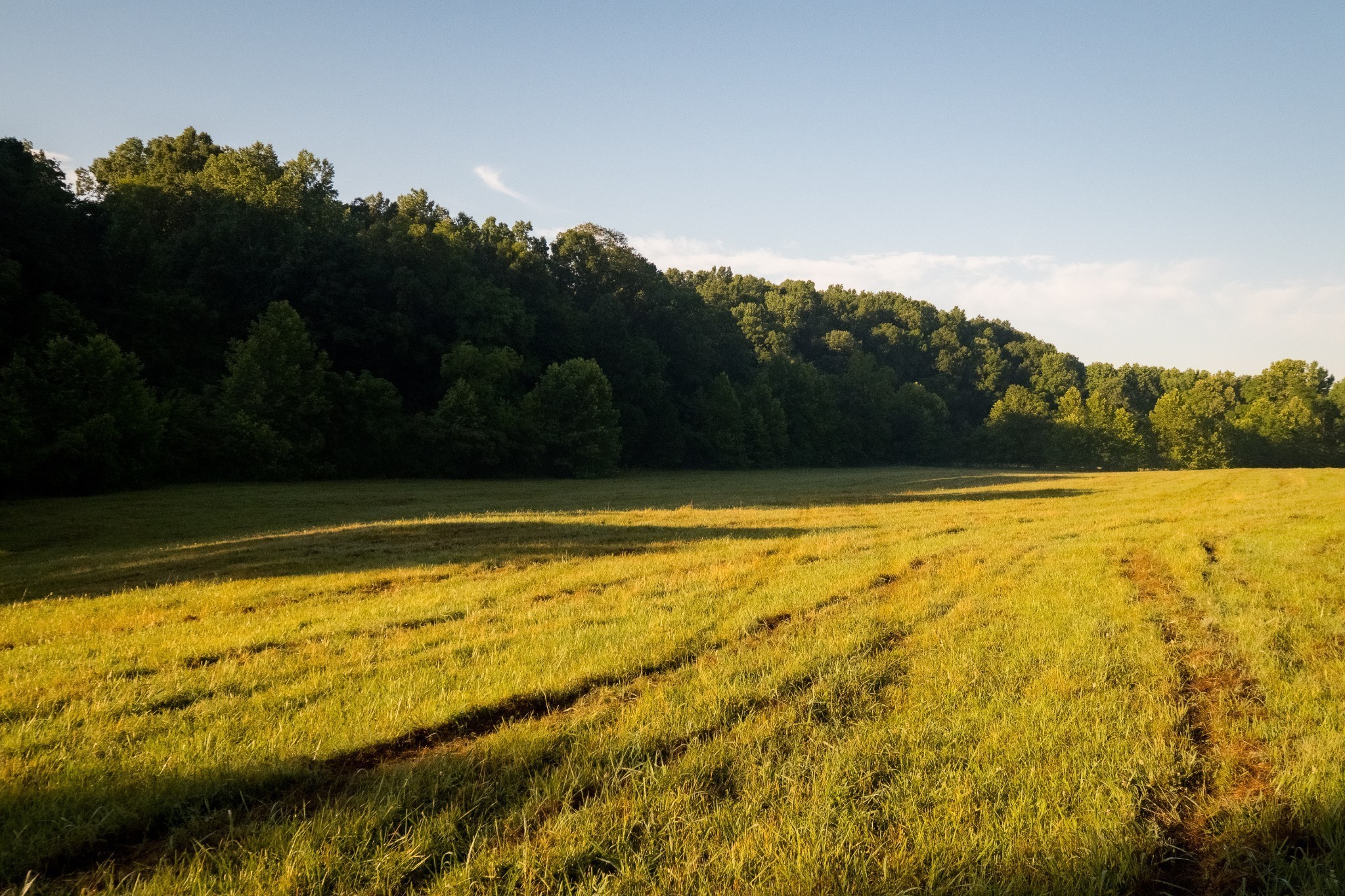 1462 Highway 48, S Dickson TN 37055