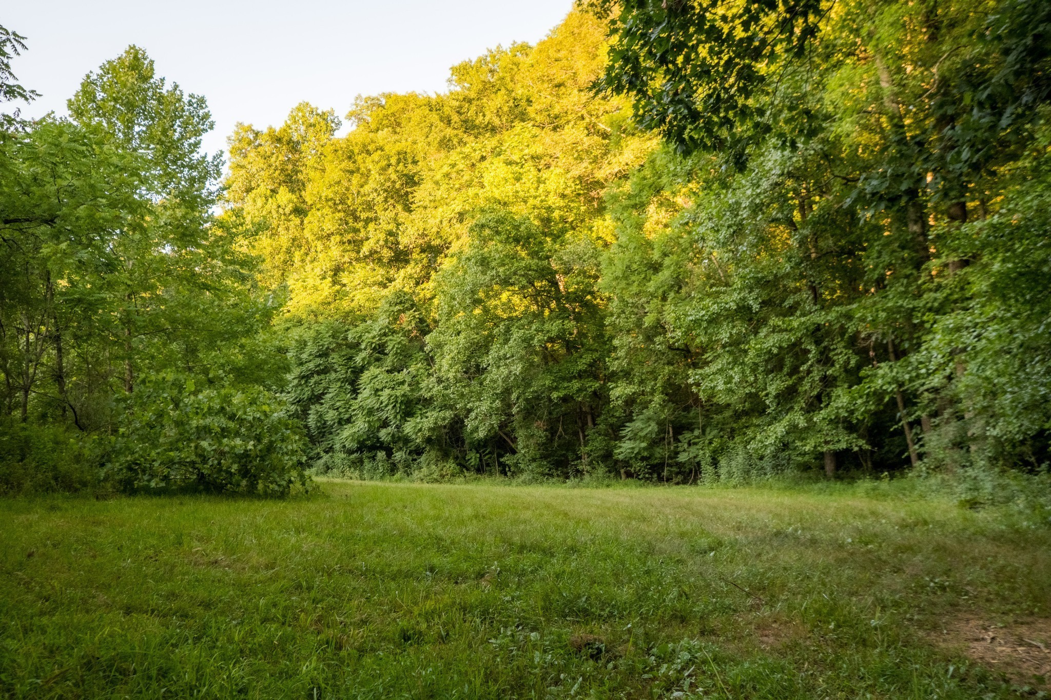 1462 Highway 48, S Dickson TN 37055