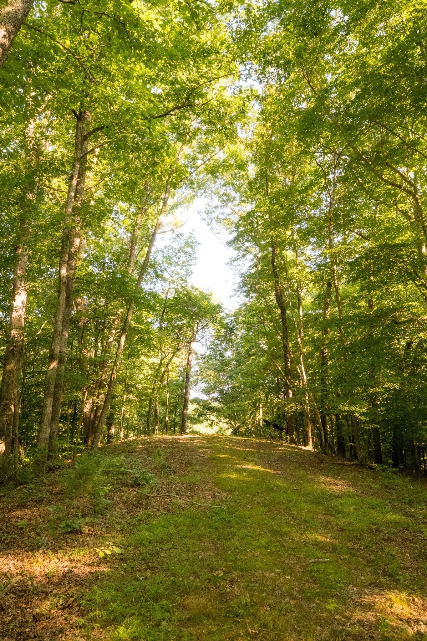 1462 Highway 48, S Dickson TN 37055