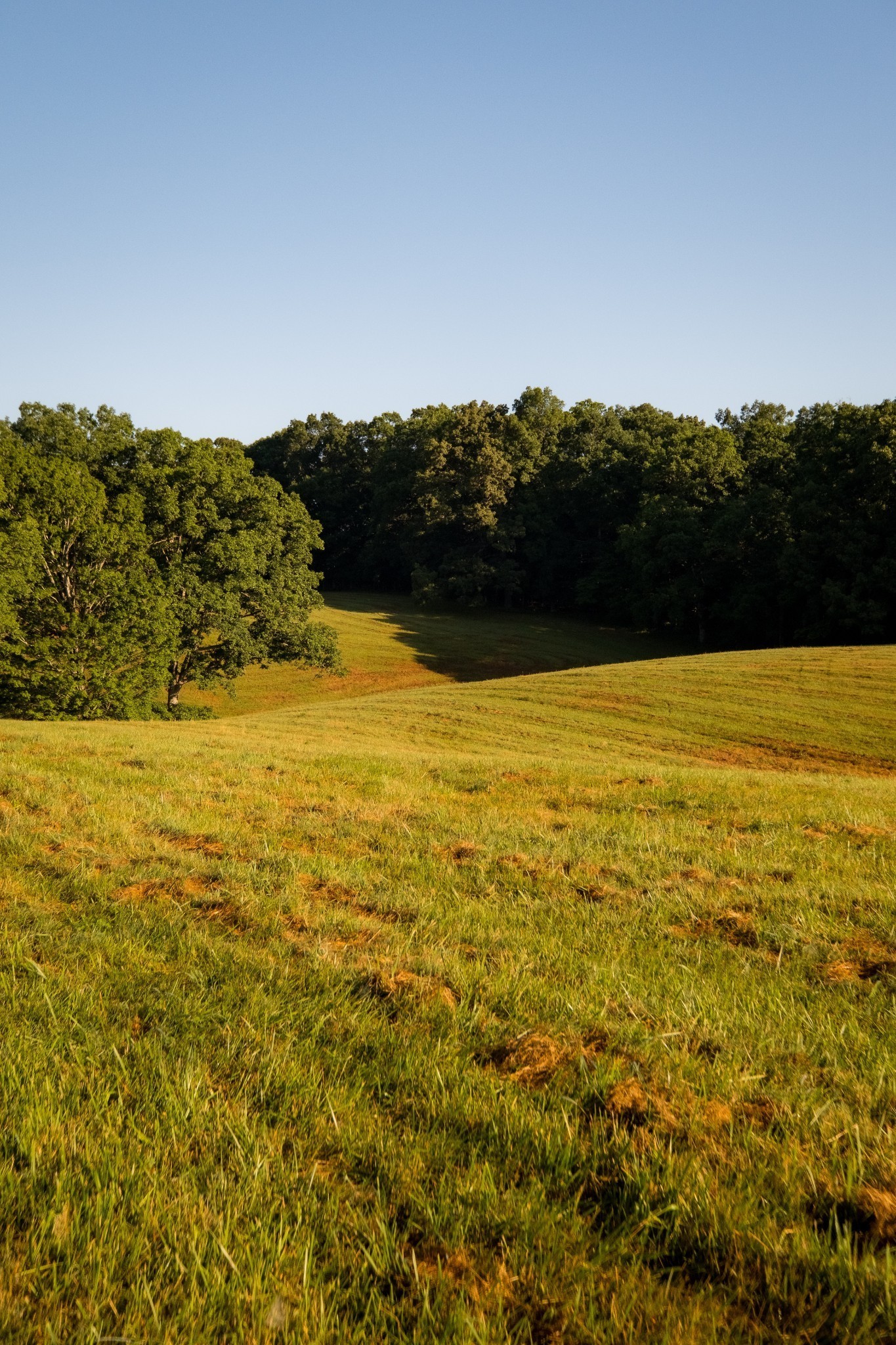 1462 Highway 48, S Dickson TN 37055