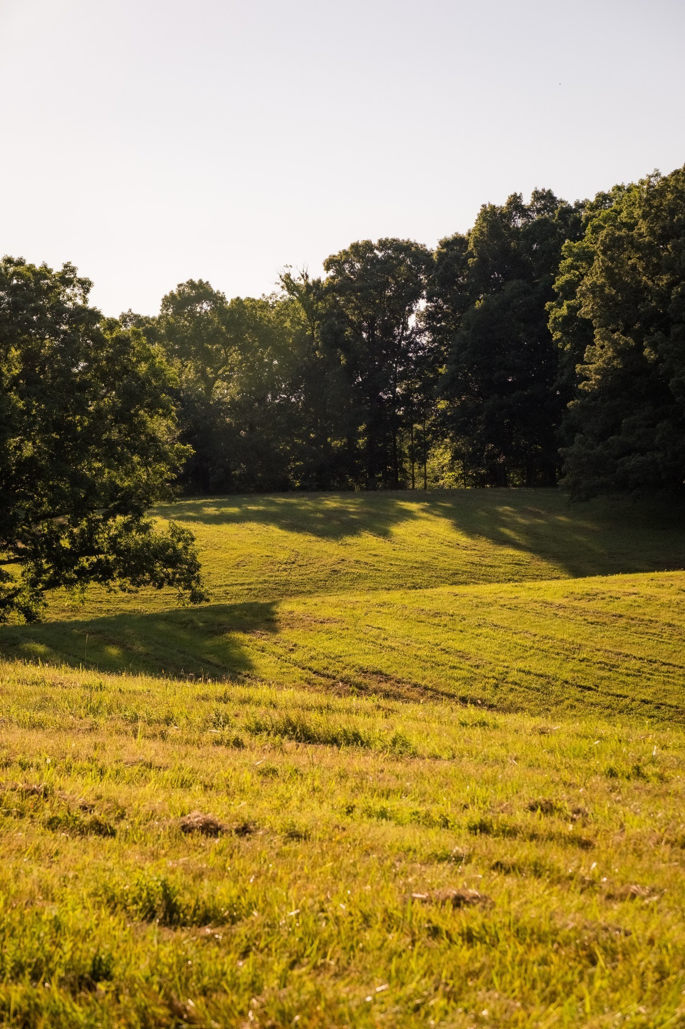 1462 Highway 48, S Dickson TN 37055