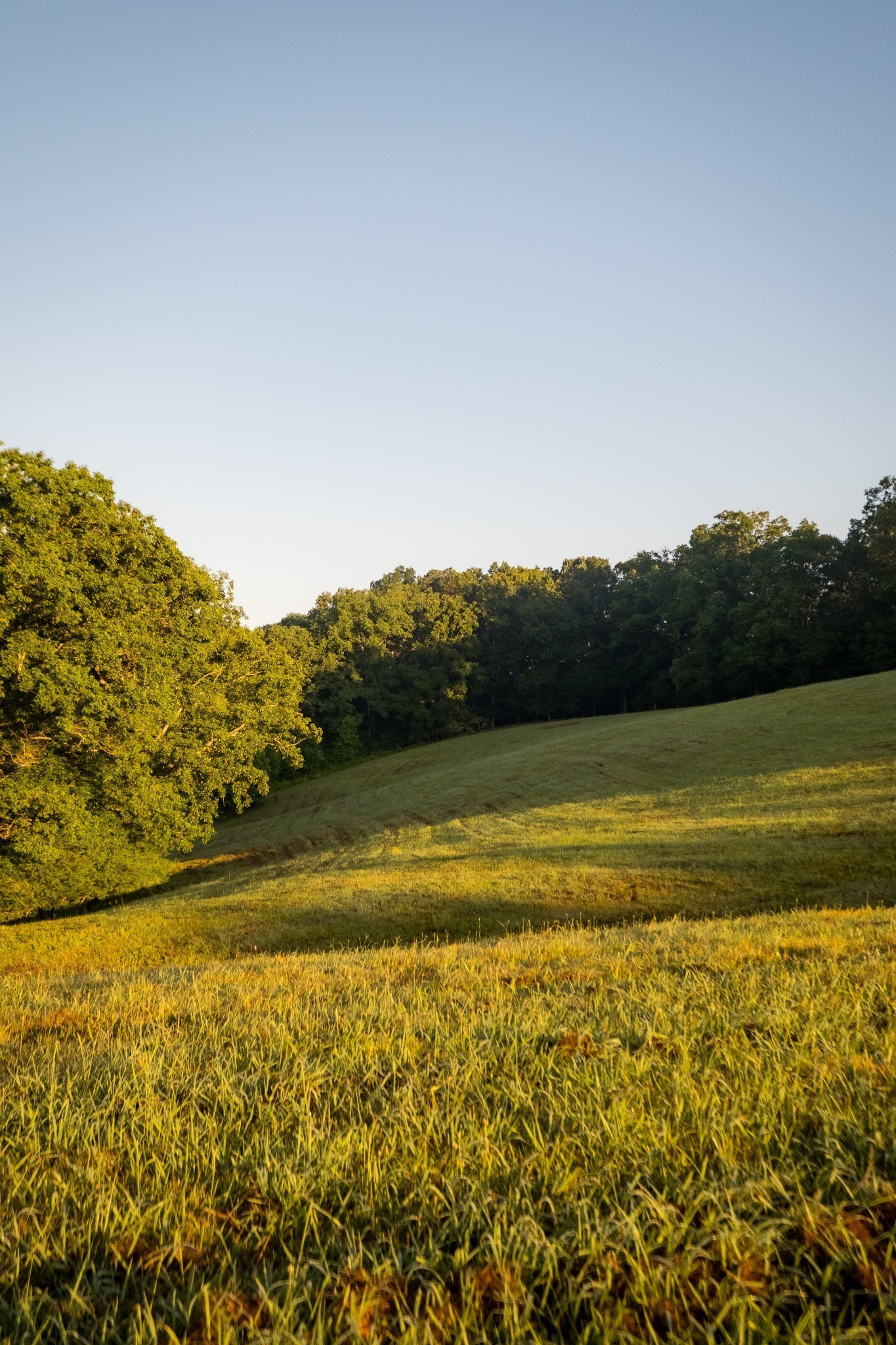 1462 Highway 48, S Dickson TN 37055