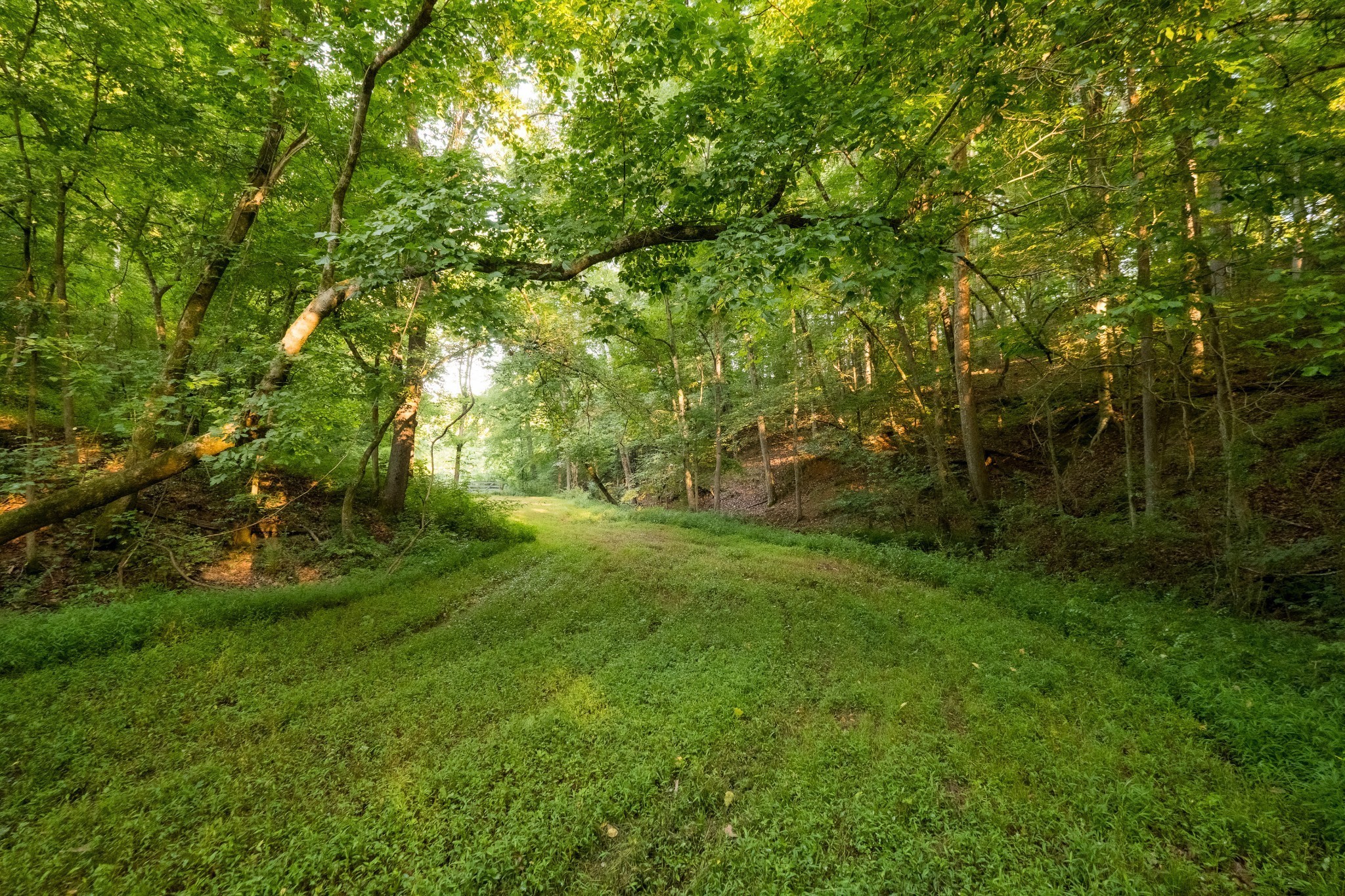 1462 Highway 48, S Dickson TN 37055