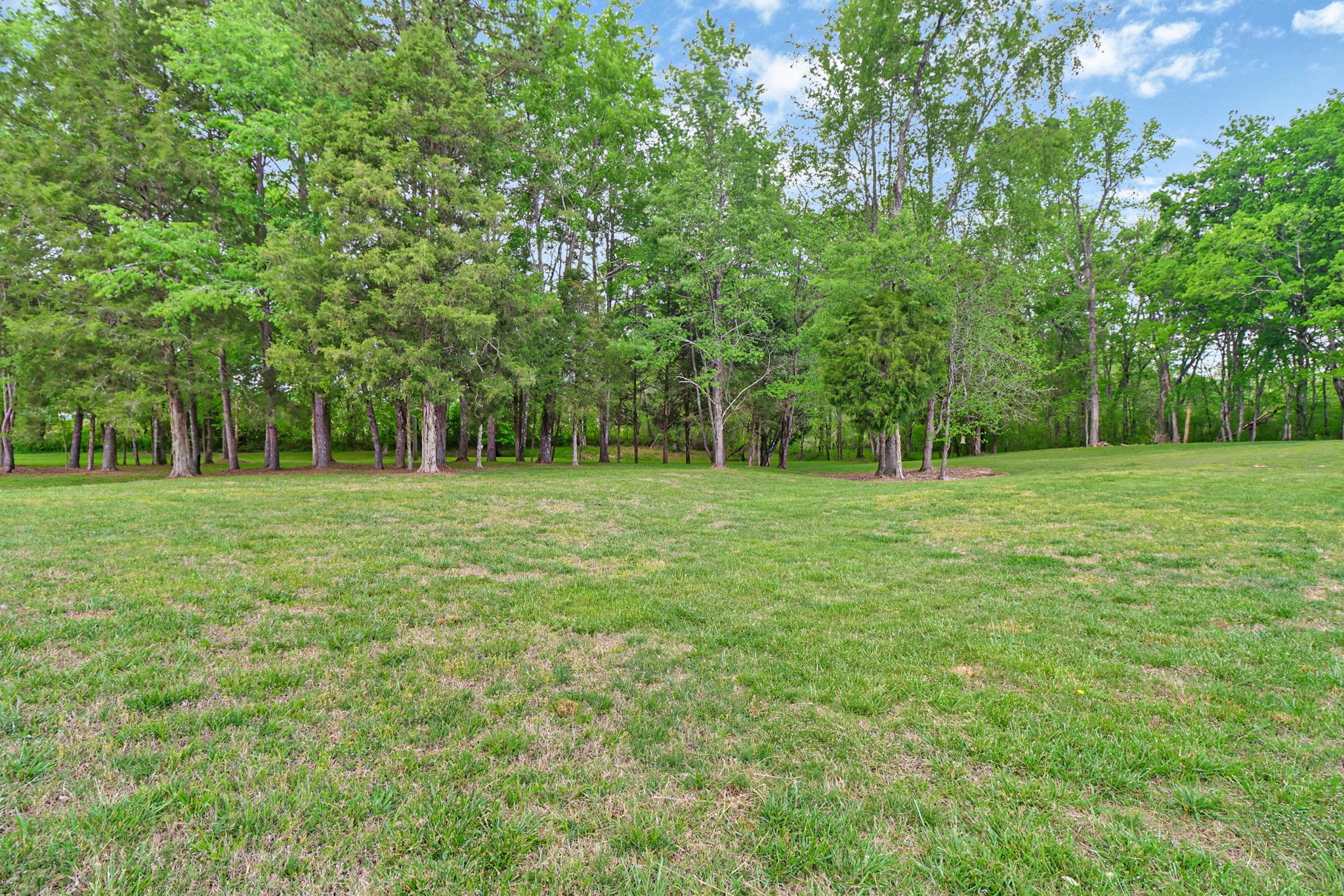 148 Porter Lane Spring City TN 37381