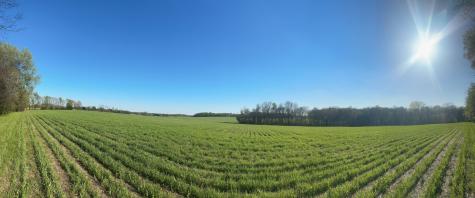 4826 Highway 31w Cottontown TN 37048