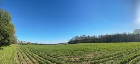 4826 Highway 31w Cottontown TN 37048