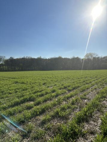 4826 Highway 31w Cottontown TN 37048