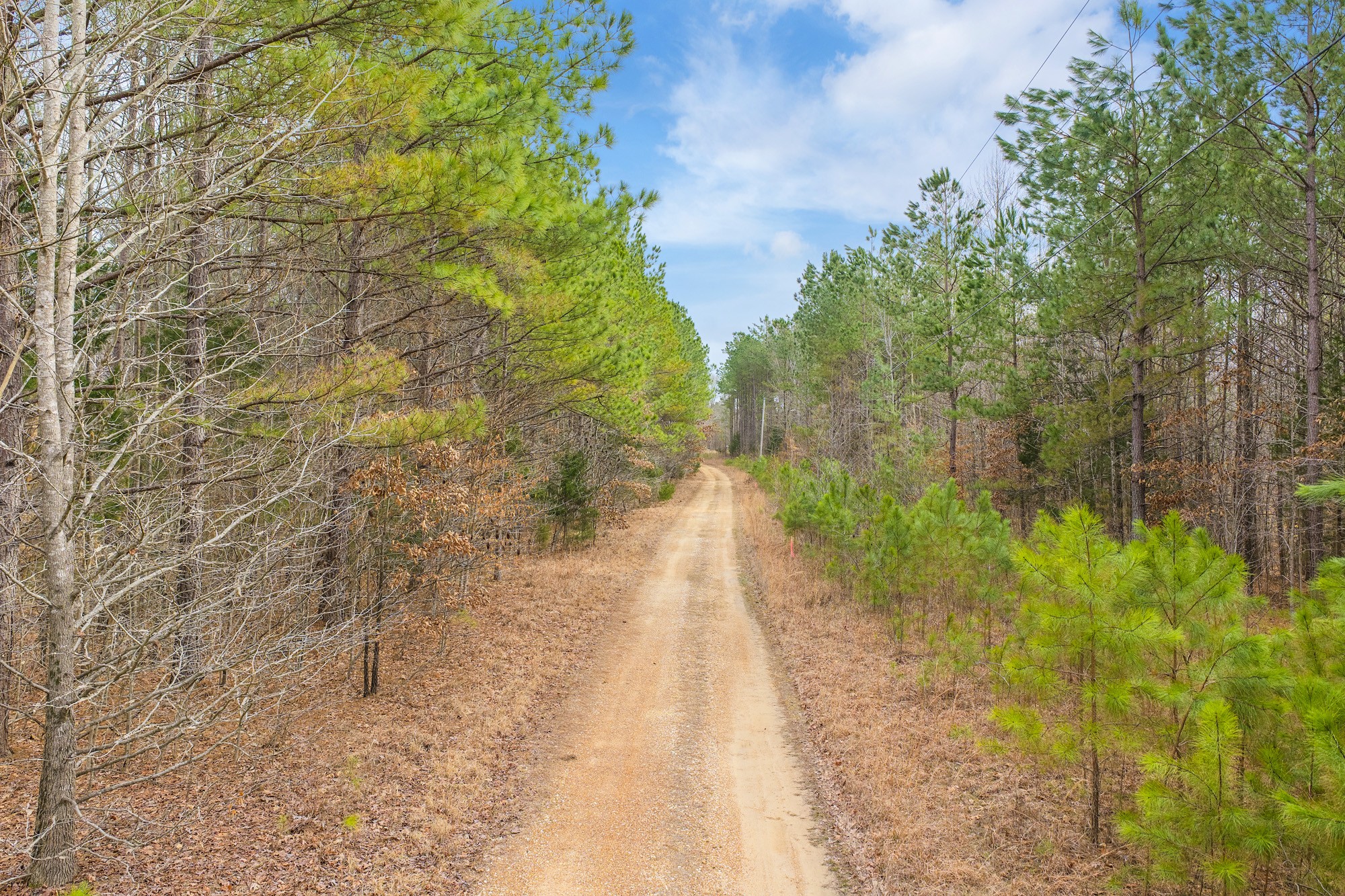 0 Kehrer Lane Huntingdon TN 38344