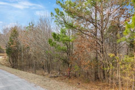 0 Kehrer Lane Huntingdon TN 38344