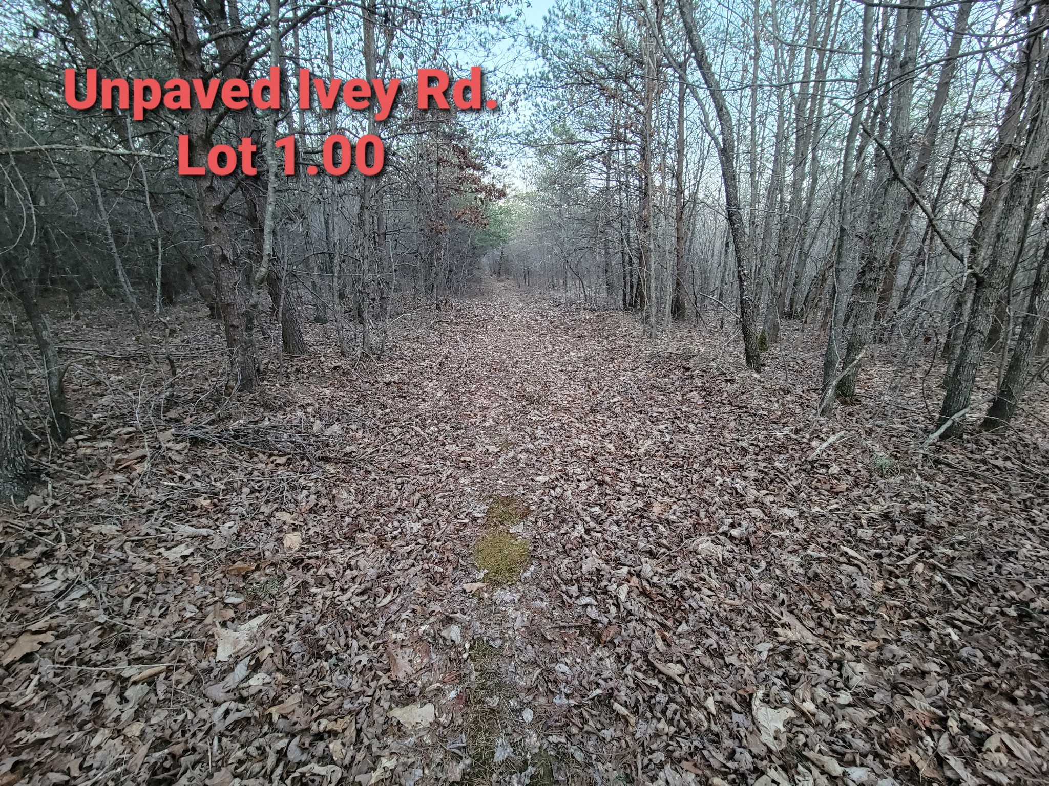 0 North Main Street Crossville TN 38555