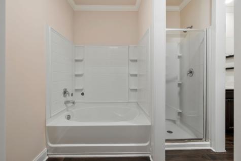 2745 Swarm Court Columbia TN 38401