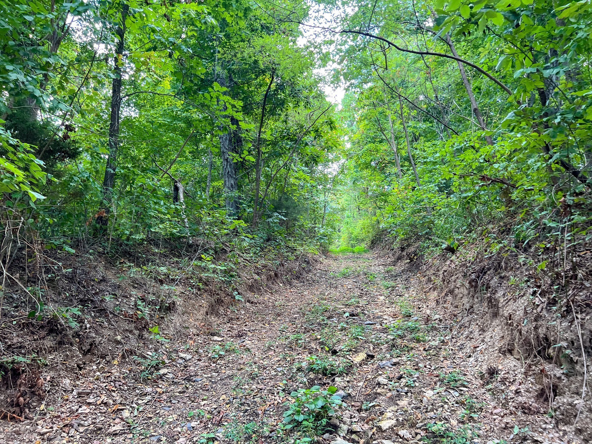 7659 Burks Road Christiana TN 37037