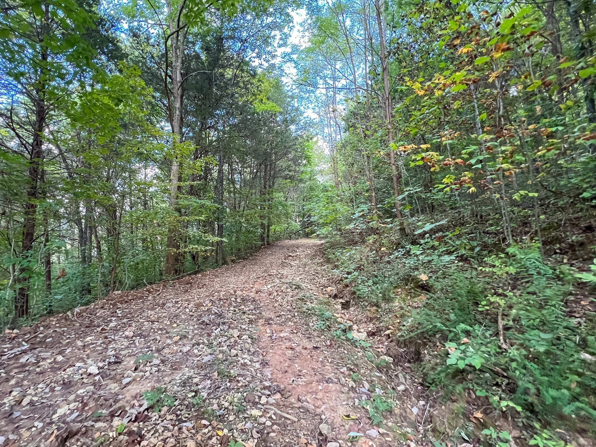 7659 Burks Road Christiana TN 37037