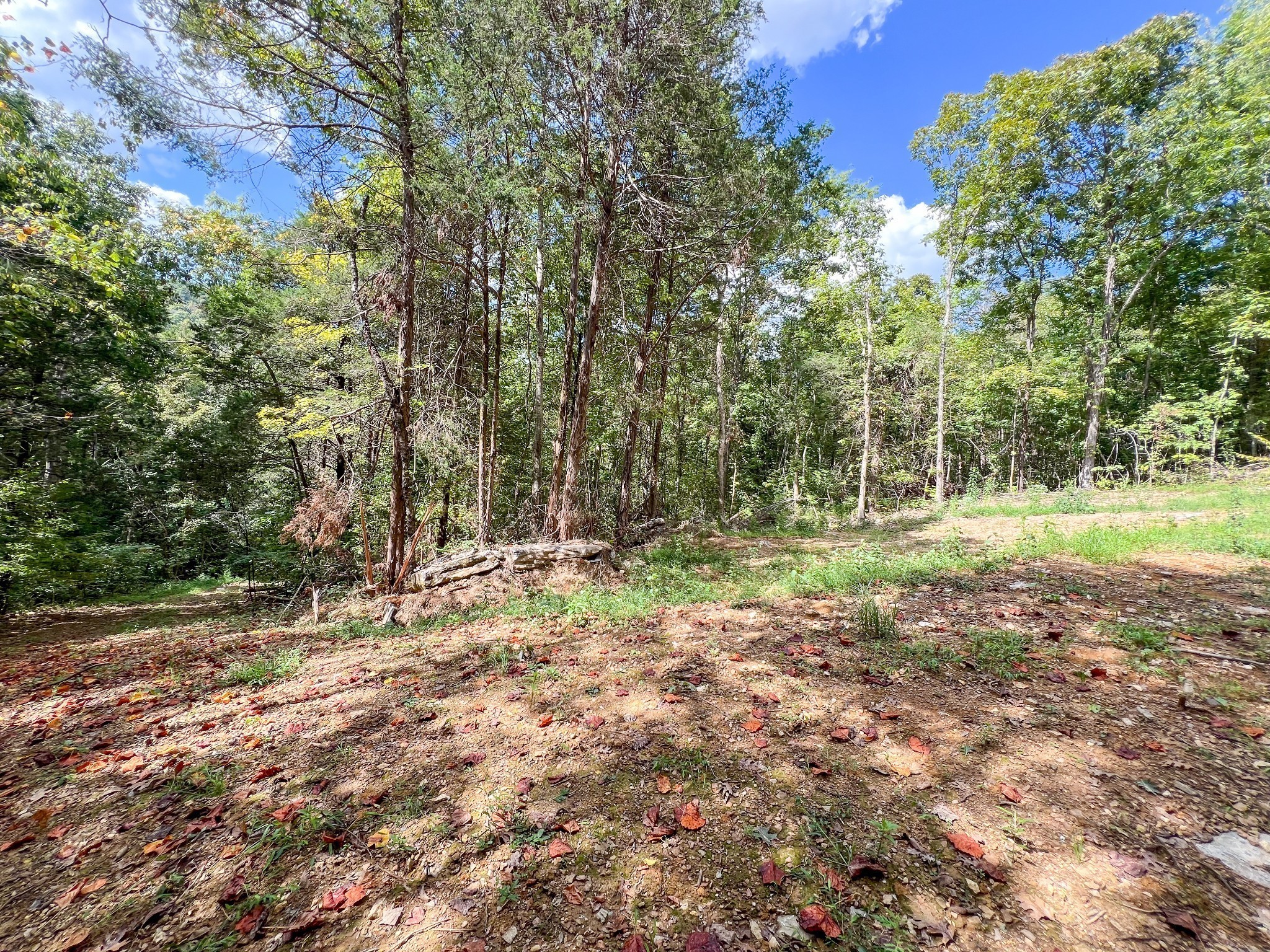 7659 Burks Road Christiana TN 37037