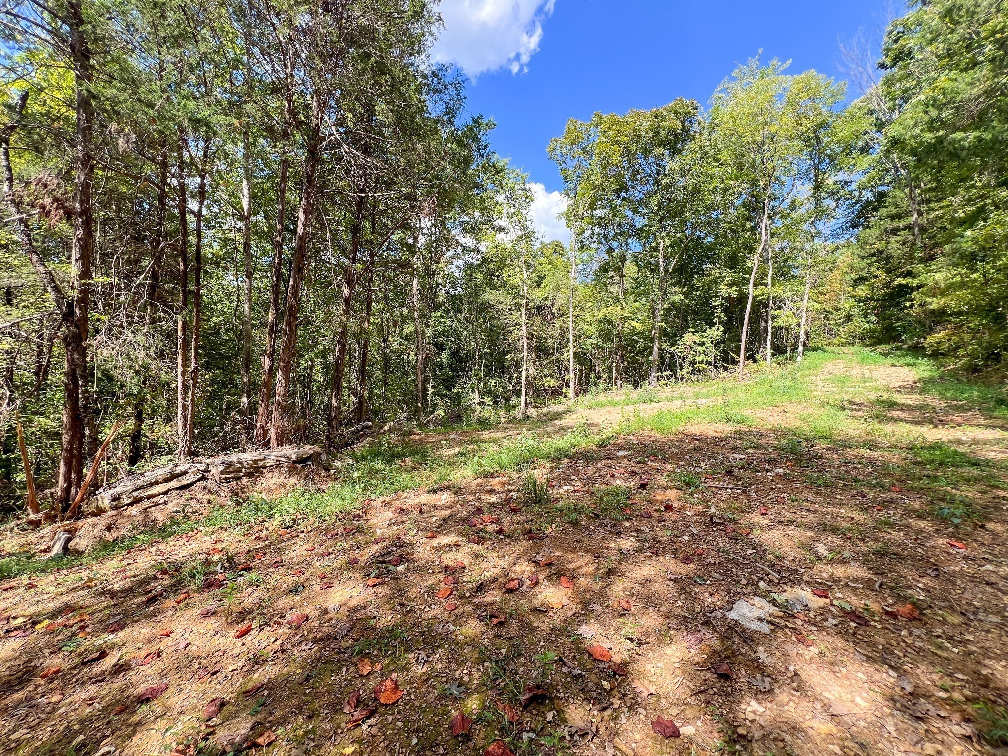 7659 Burks Road Christiana TN 37037