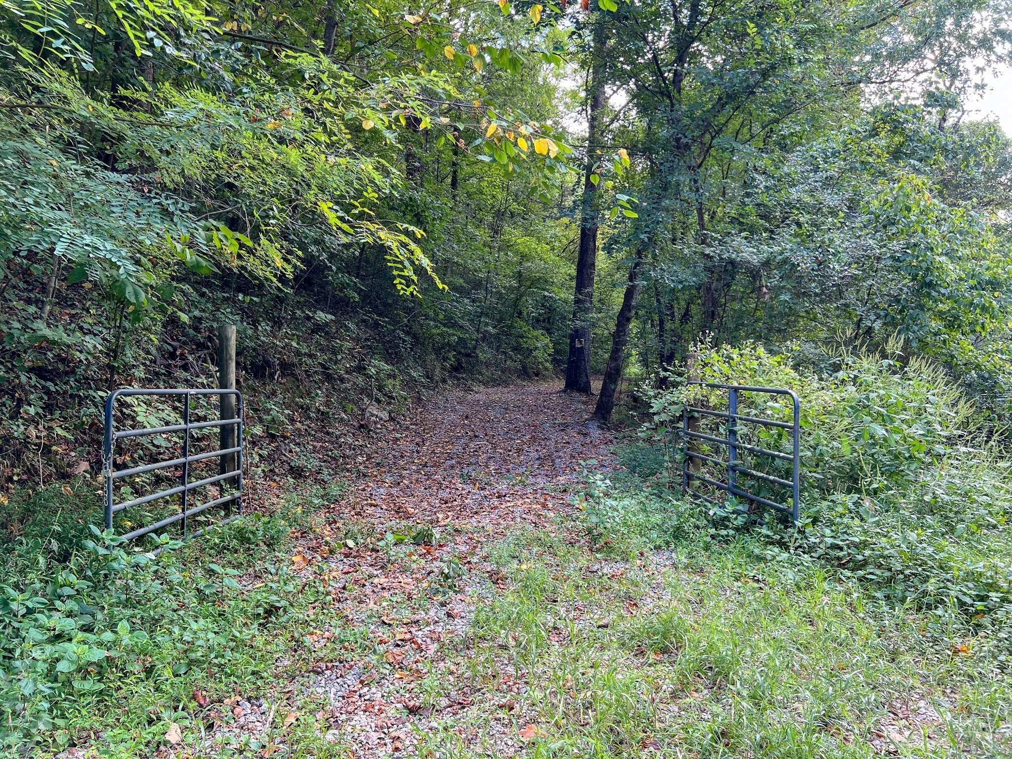 7659 Burks Road Christiana TN 37037