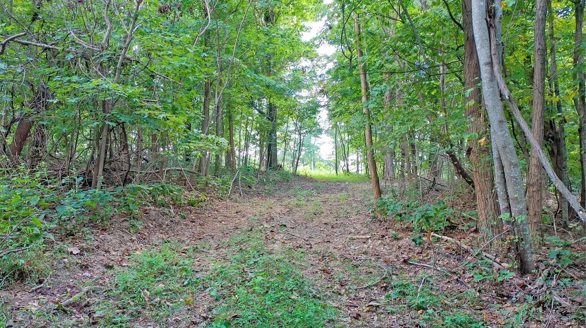 7659 Burks Road Christiana TN 37037