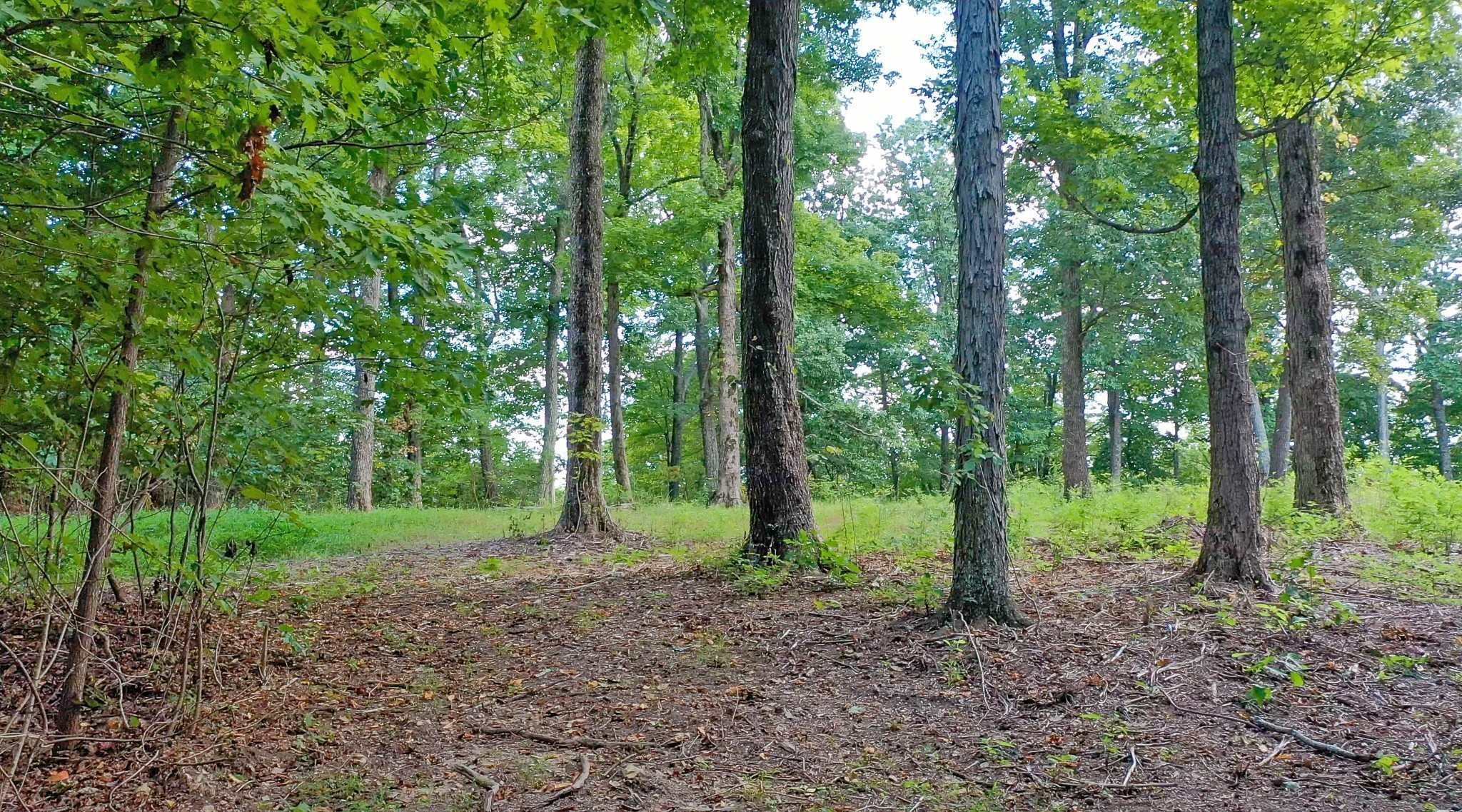 7659 Burks Road Christiana TN 37037