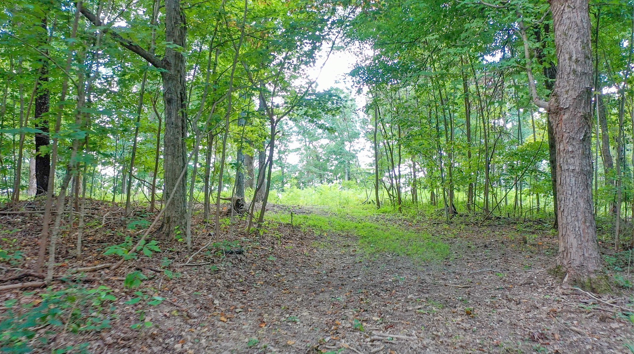 7659 Burks Road Christiana TN 37037