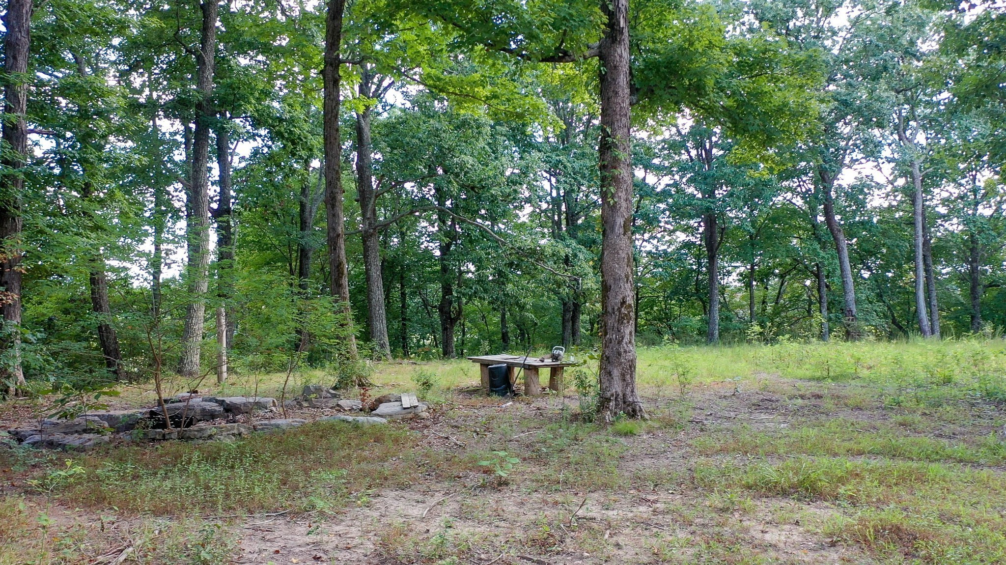 7659 Burks Road Christiana TN 37037