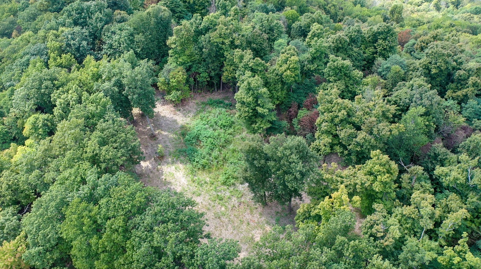 7659 Burks Road Christiana TN 37037